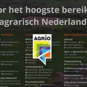 grafisch-ontwerper_doetinchem_Het_Online_Huis_3.jpg