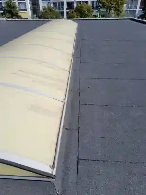 Roofing plat dak vernieuwing.jpg