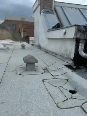 Roofing plat dak vernieuwing.jpg