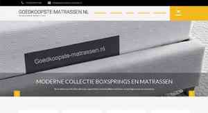 webdesign_zutphen_Envon_2.jpg