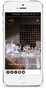 online-marketing_roermond_iMonkeys_5.jpg