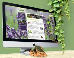 webdesign_sliedrecht_Effusion_3.jpg