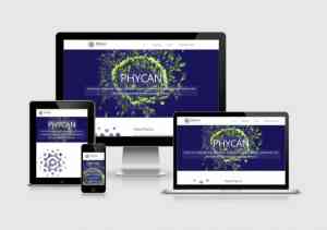 seo-specialist_hoogeveen_Beabudai_Design_6.jpg