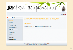 webdesign_amsterdam_Goaheadspace_Web_Development_Consultancy_6.jpg