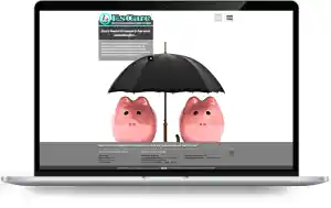 webdesign_maastricht_Le_Tigre_Webdesign_Holland_7.jpg