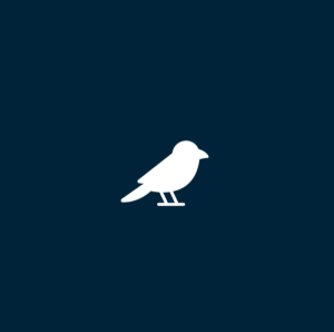 reclamebureau_rotterdam_Loryrave_webdesign_7.jpg