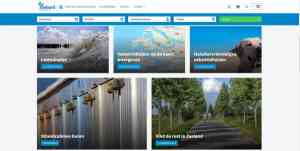 webdesign_meppel_Digizijn_ICT_&_Web_2.jpg