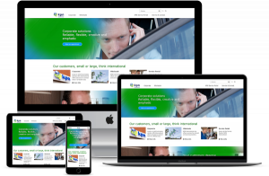 webdesign_leiden_Tritac_BV_2.jpg
