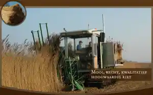 dakdekker_rhenen_TOPRIETDEKKER.NL_4.jpg