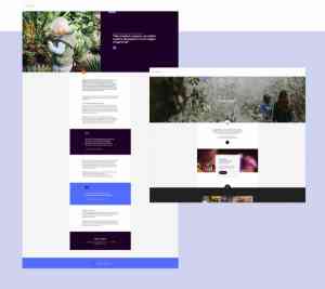 webdesign_den-haag_DutchGiraffe_|_Digital_Creatives_4.jpg