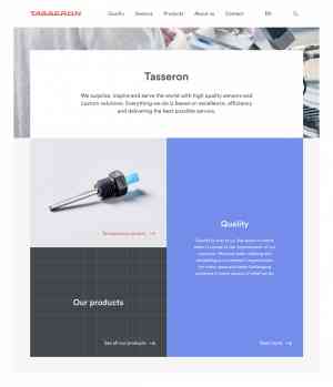webdesign_den-haag_DutchGiraffe_|_Digital_Creatives_2.jpg