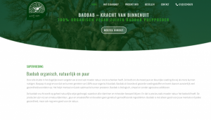webdesign_leiden_KineticDesign_4.jpg