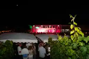 dj_filderstadt_Bluewave_DJs_&_Events_7.jpg