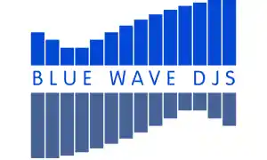 dj_filderstadt_Bluewave_DJs_&_Events_2.jpg
