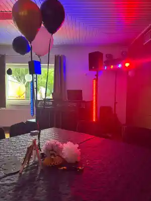dj_fa%C3%9Fberg_LT_sounds_|_Hochzeits-_&_Event-DJ_4.jpg