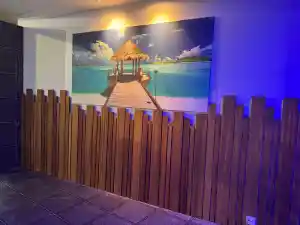 Mini renovatie Sauna elektriciteit.jpg