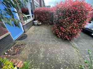 gevelreiniging_castricum_Bearclean_4.jpg