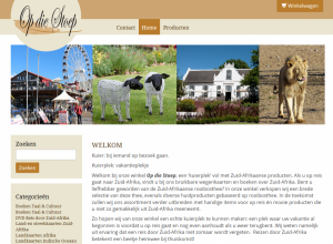 webdesign_ootmarsum_Soluti_4.jpg