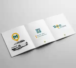 Ontwerp & drukwerk voor Temo Rijschool – complete branding.jpg