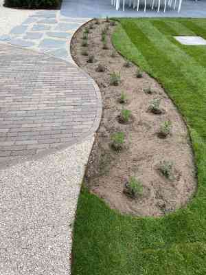 Met de juiste planten de gewenste sfeer creëren.jpg