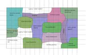 aanleg voortuin prairie.jpg