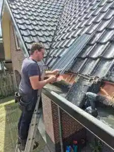 ongediertebestrijder_ederveen_Dakgootpreventie_B.V._5.jpg