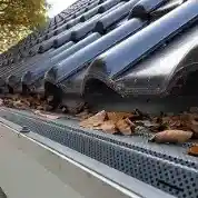 Dakgootpreventie B.V..jpg