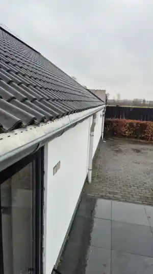 Blad- en marterwering.jpg