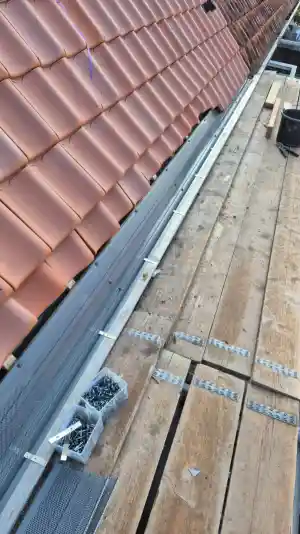 ongediertebestrijder_ederveen_Dakgootpreventie_B.V._2.jpg