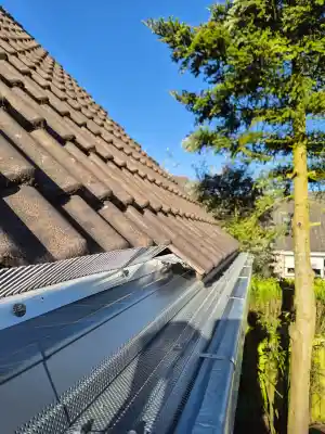 ongediertebestrijder_ederveen_Dakgootpreventie_B.V._6.jpg