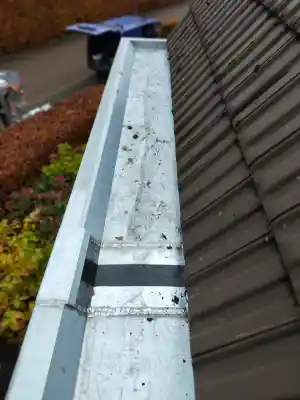dakgoot_echteld_Kwint_Dak_7.jpg
