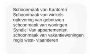 schoonmaakbedrijf_ardooie__Blinky_bling__3.jpg