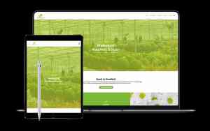 online-marketing_roermond_Themedutch_bv_2.jpg