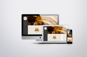 webdesign_rotterdam_Denmedia._3.jpg