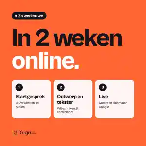 seo-specialist_lelystad_Gigawebdesign_6.jpg