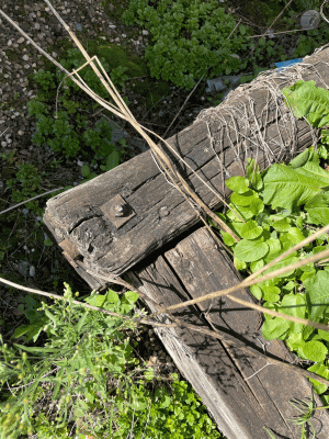 Entsorgung von Blumenkasten aus Teerölbeschichtetem Holz in Düsseldorf.jpg