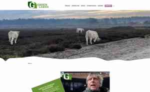 webdesign_laren_Bright_Online_Company_3.jpg