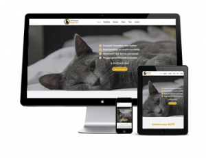 webdesign_eindhoven_SiteRocket_|_Snel_en_goed_online_voor_een_lage_prijs_3.jpg
