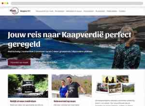 webdesign_doesburg_Digital_Savant_3.jpg