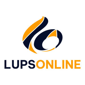 webdesign_voorthuizen_LupsOnline_2.jpg