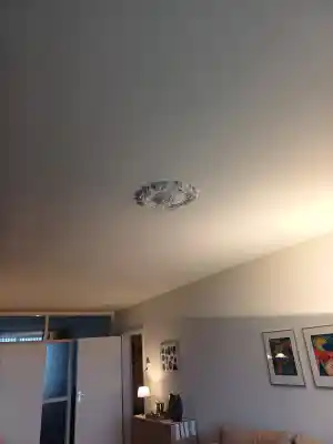 schilder_boxtel_Alpha_Interiors_6.jpg