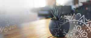 coaching_k%C3%B6ln_Sansorio_Personal_Development_GmbH_6.jpg
