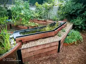 Medische permacultuur moestuin.jpg