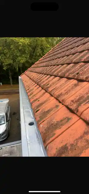 dakdekker_gorinchem_Dakonderhoud_specialist_6.jpg