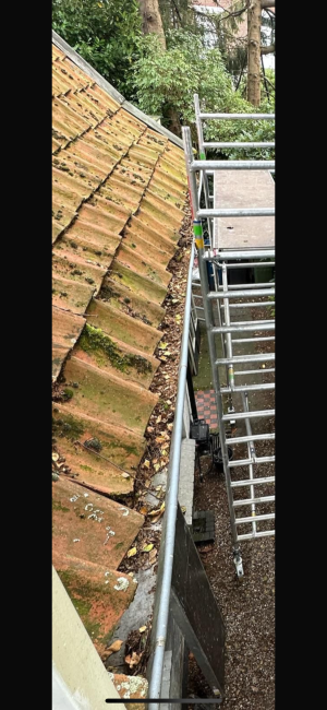 Pannendak vervanging .jpg