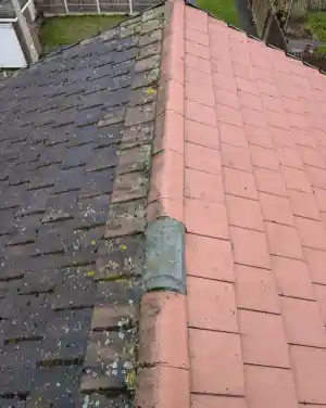 Dakreiniging en impregneren .jpg