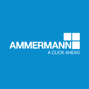 webdesign_oldenburg_AMMERMANN_CONSULTING_5.jpg