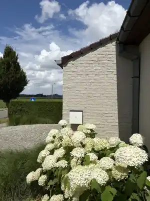 laadpalen_menen-lauwe_Opgeladen_3.jpg