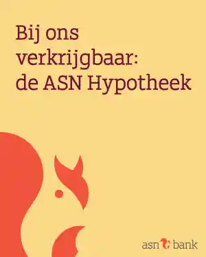 verzekering_annen_ROX_financieel_advies_5.jpg