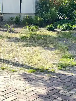 schoonmaakbedrijf_cuijk_Jayden_cleaning_5.jpg